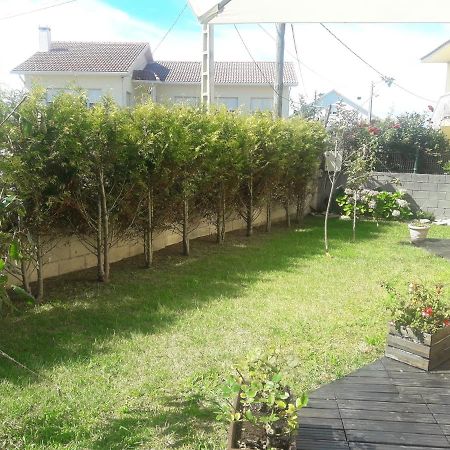 Apartamento Con Jardin Lira  Екстериор снимка